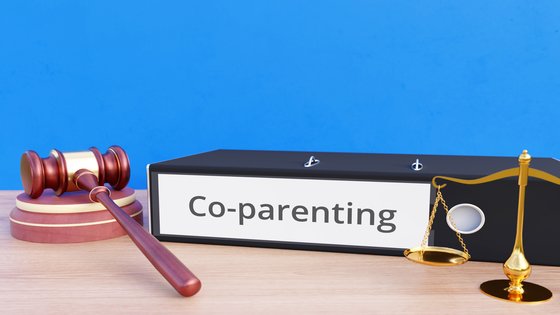 What is Co-Parenting?