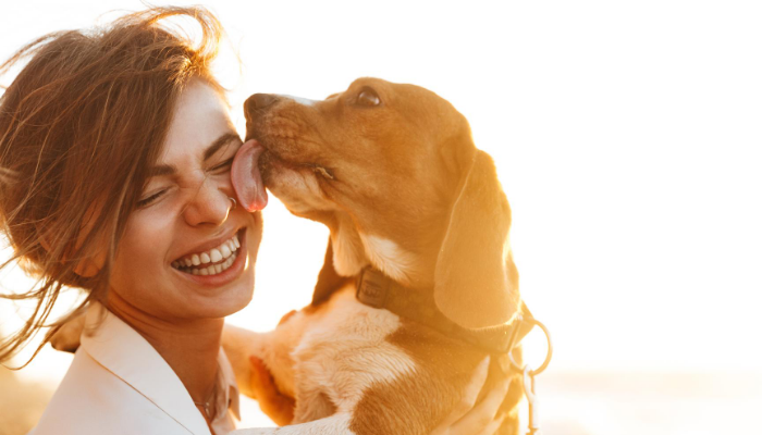 What Will Happen To My Pet After My Divorce? | The Ault Firm, P.C.